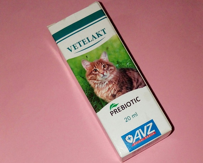 Ветелакт пробиотики для кошек