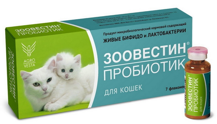 пробиотики для котят