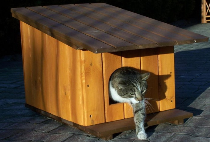 будка для кошек на зиму из вагонки