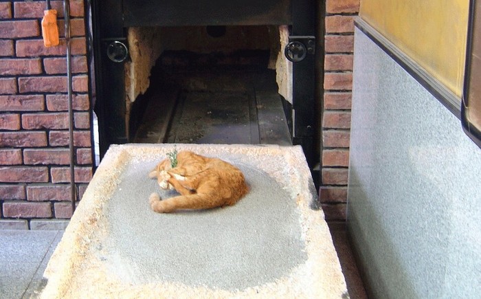 Индивидуальная кремация домашних животных