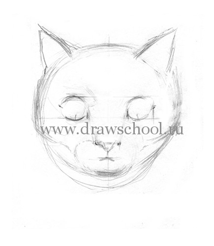 Рисуем мордочку кошки простым - шаг 7