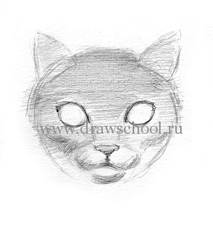 Рисуем мордочку кошки простым - шаг 8