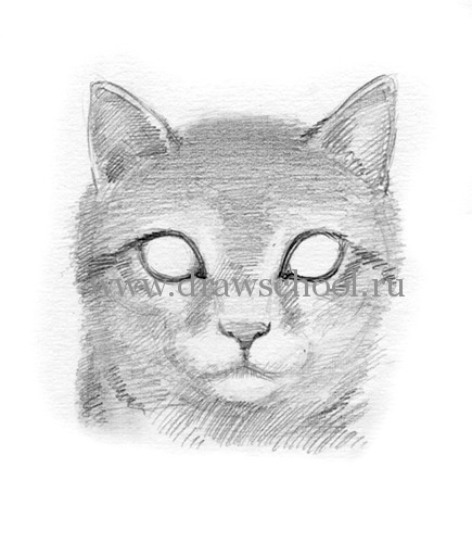 Рисуем мордочку кошки простым - шаг 9