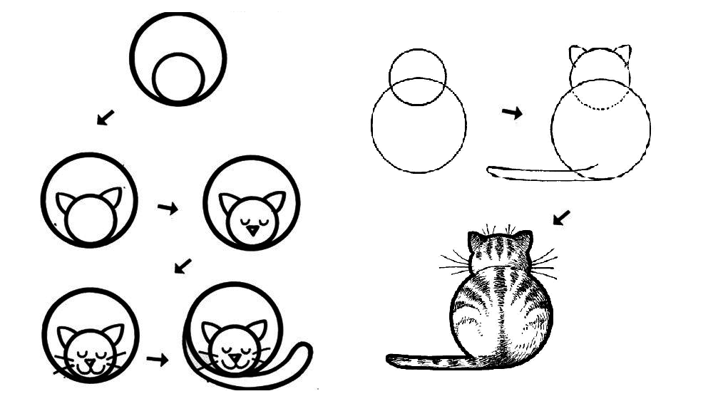 Как нарисовать кошку с помощью кругов: шаг за шагом