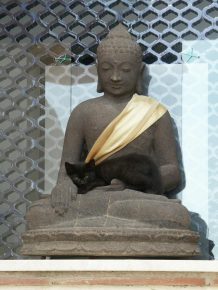 Учение о душе кошек у буддистов