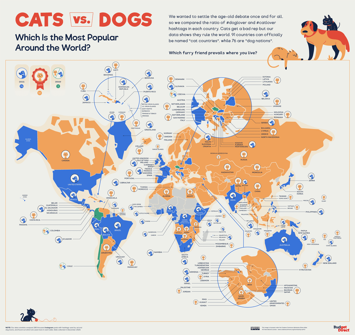 Коты против собак во всём мире