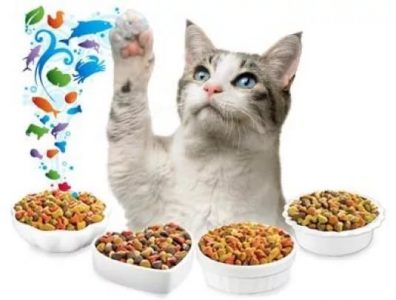 Сколько в сутки сухой корм для кошек thumbnail