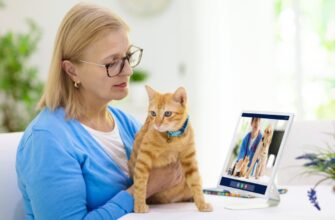 Преимущества онлайн-консультации ветеринара