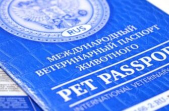 как заполнить ветеринарный паспорт для кошек