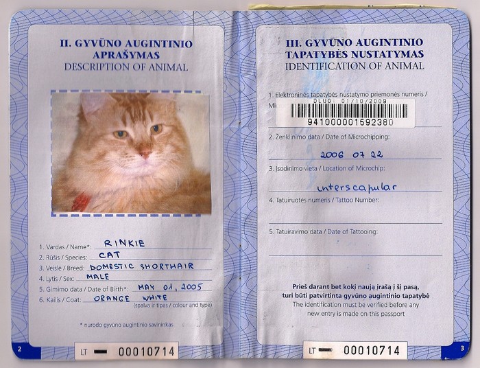 какие данные заносятся в ветеринарный паспорт кошки